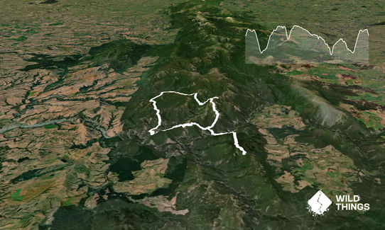 Northern Ruahine Rumble, Hawkes Bay