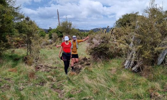 Ohakune-Horopito Powderkeg Loop, Manawatu - Wanganui