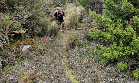 Ohakune-Horopito Powderkeg Loop, Manawatu - Wanganui