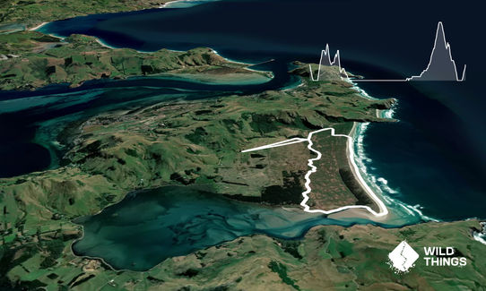 Okia Victory Lap, Otago