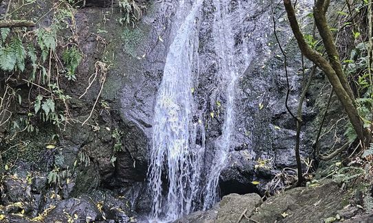 Omahu Anne's Falls & Gibraltar Loop, Canterbury