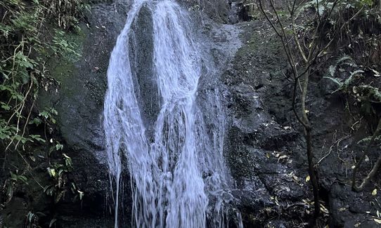 Omahu Anne's Falls & Gibraltar Loop, Canterbury