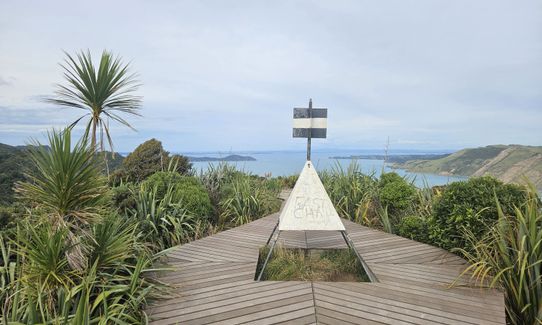 Omanawanui Return, Auckland