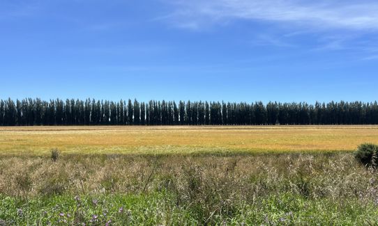 On the Straight and Narrow, Canterbury