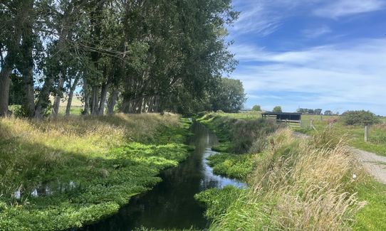 On the Straight and Narrow, Canterbury