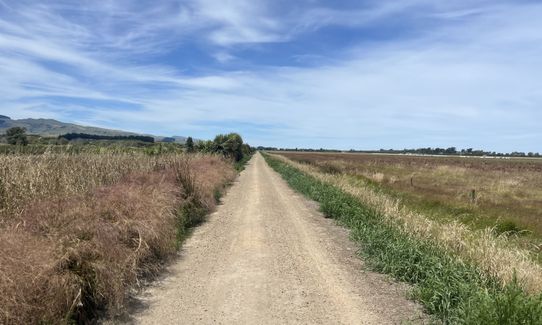 On the Straight and Narrow, Canterbury