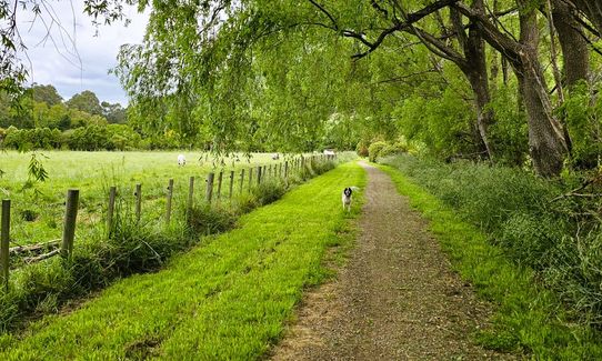 On the Straight and Narrow, Canterbury