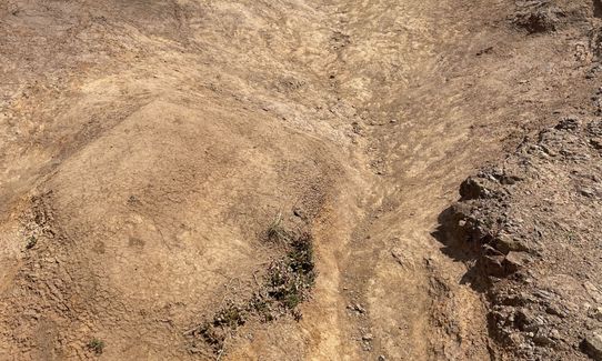 Onawe Plug, Canterbury