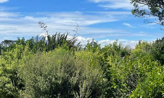 Opunake Loop trail, Taranaki