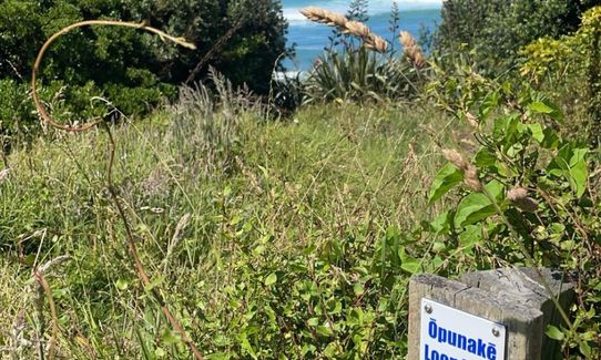 Opunake Loop trail, Taranaki