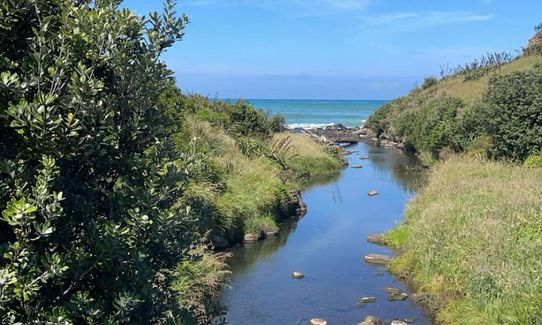 Opunake Loop trail, Taranaki