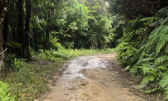 Orange Hut via Perhams, Wellington