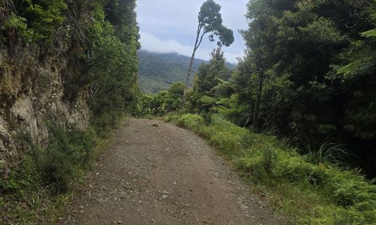 Orange Hut via Perhams, Wellington