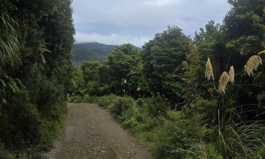 Orange Hut via Perhams, Wellington