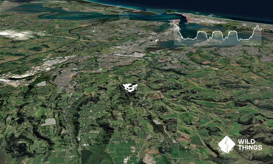 Oropi East Side, Bay of Plenty