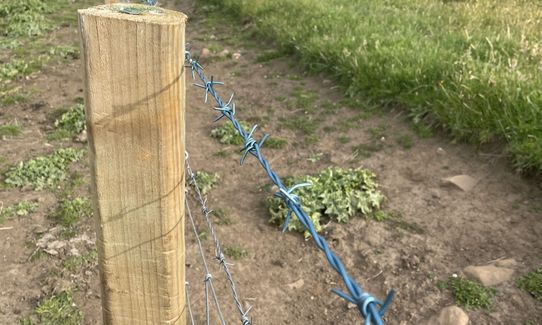 Orton Bradley Loop, Canterbury