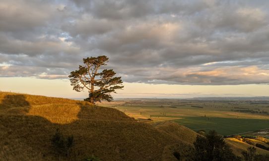 Pāpāmoa Hills Summit Loop, Bay of Plenty