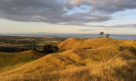 Pāpāmoa Hills Summit Loop, Bay of Plenty