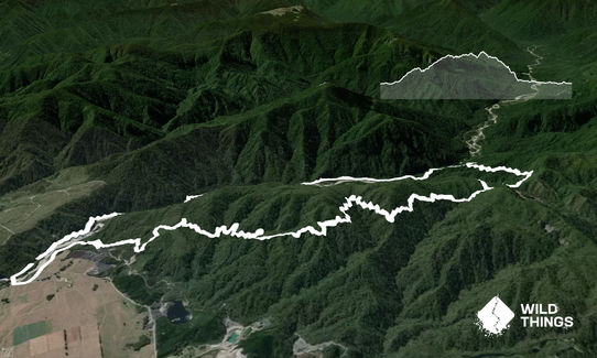 Painkiller Devil's Tail loop, West Coast