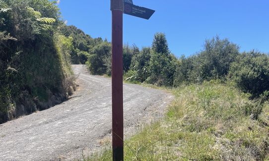 Papamoa Hills Outer Loop, Bay of Plenty