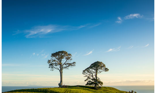 Papamoa Hills Outer Loop, Bay of Plenty