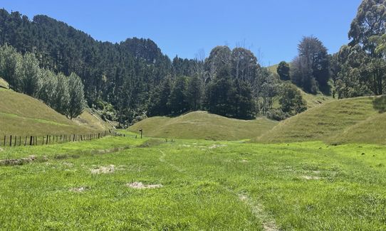 Papamoa Hills Outer Loop, Bay of Plenty