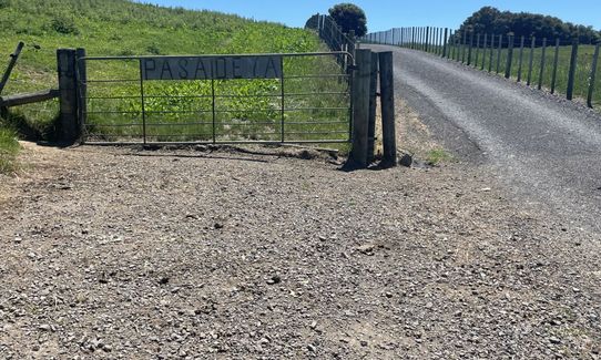 Papamoa Hills Outer Loop, Bay of Plenty