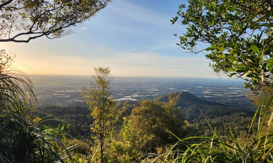 Pāpāmoa Three Peaks, Bay of Plenty