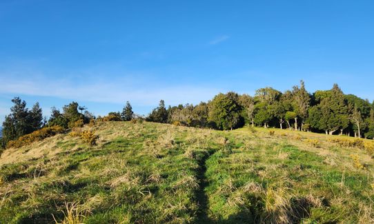 Pāpāmoa Three Peaks, Bay of Plenty