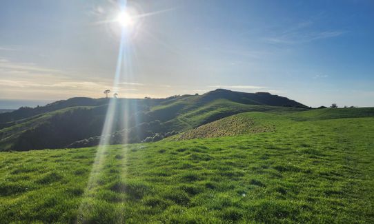 Pāpāmoa Three Peaks, Bay of Plenty