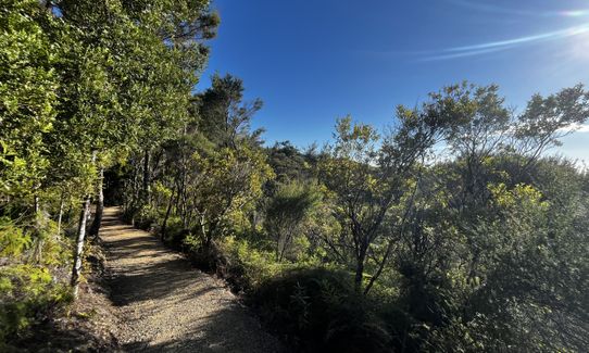 Parihaka Double Bounce, Northland