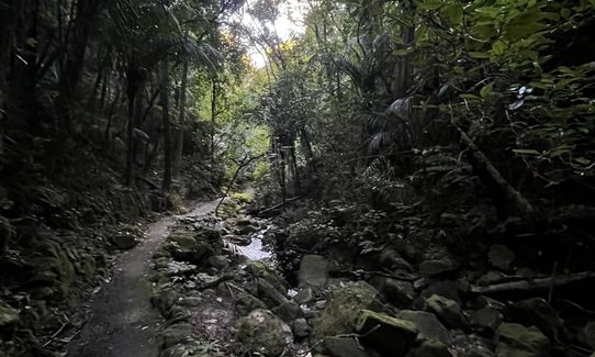 Parihaka Double Bounce, Northland