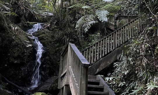 Parihaka Double Bounce, Northland