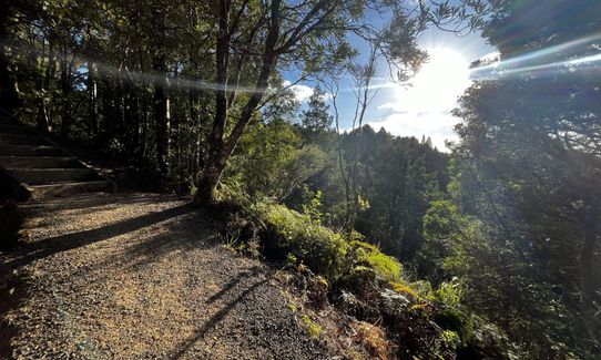 Parihaka Double Bounce, Northland