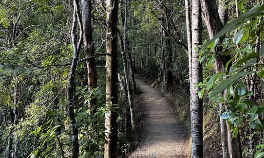 Parihaka Double Bounce, Northland