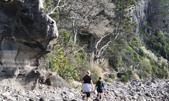 Pauanui Summit Loop, Waikato