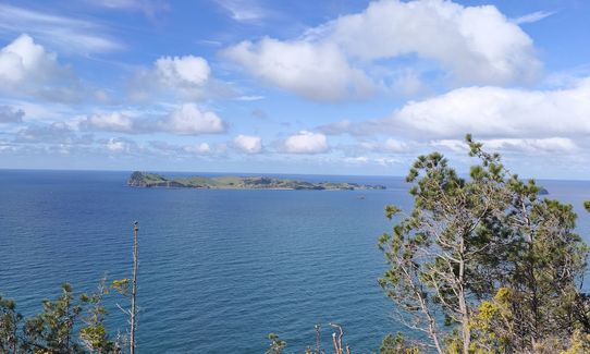 Pauanui Summit Loop, Waikato