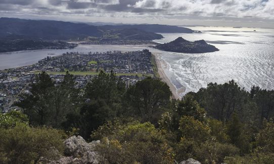 Pauanui Summit Loop, Waikato