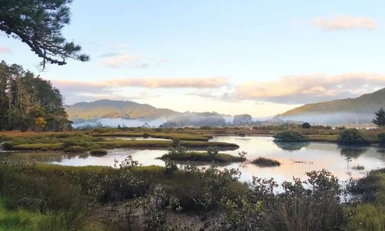 Pauanui Trail - Stage 1 , Waikato