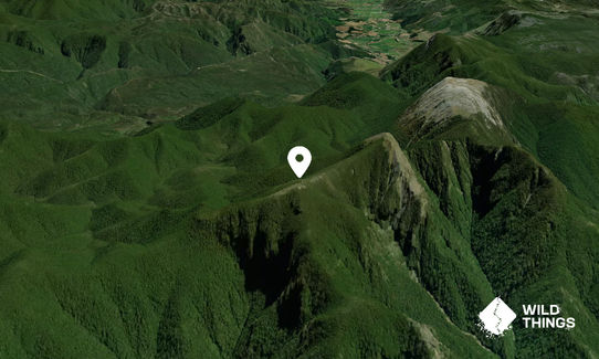 Mt McMahon