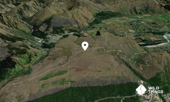 Queenstown Hill (Te Tapu-nui)