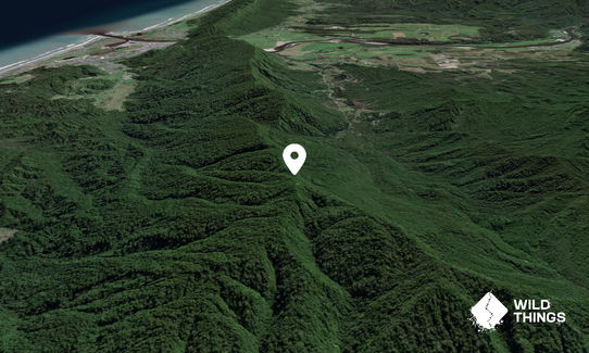 Kakawau Peak 