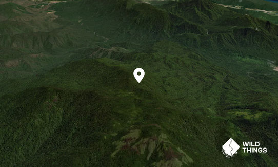 Mount Bartle Frere