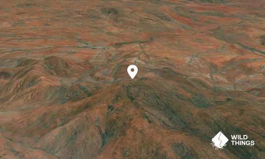 Mount Woodroffe / Ngarutjaranya