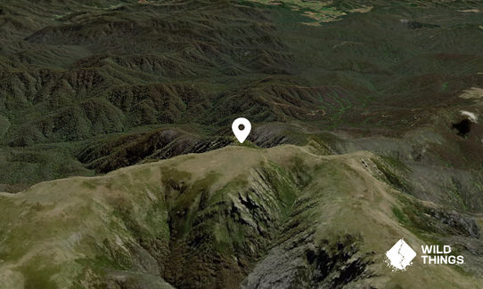 Mount Bogong