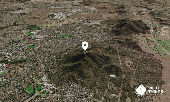 Mount Ainslie