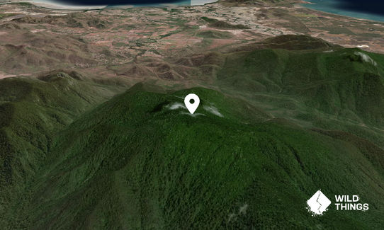 Mount Elliot