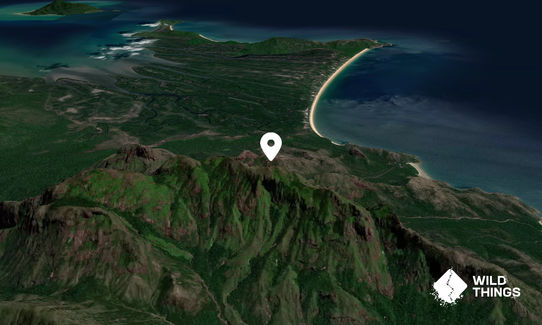 Mount Bowen