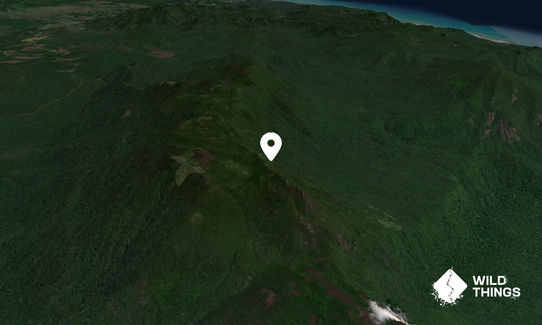 Thornton Peak