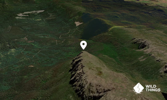 Mount Field West